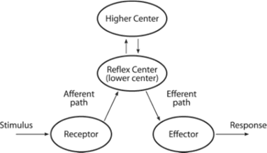 Fig 9.9