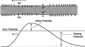 Fig. 9.10