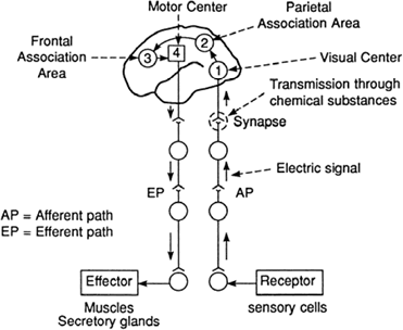 Fig 9.11