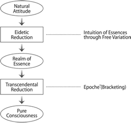 Fig 11.1